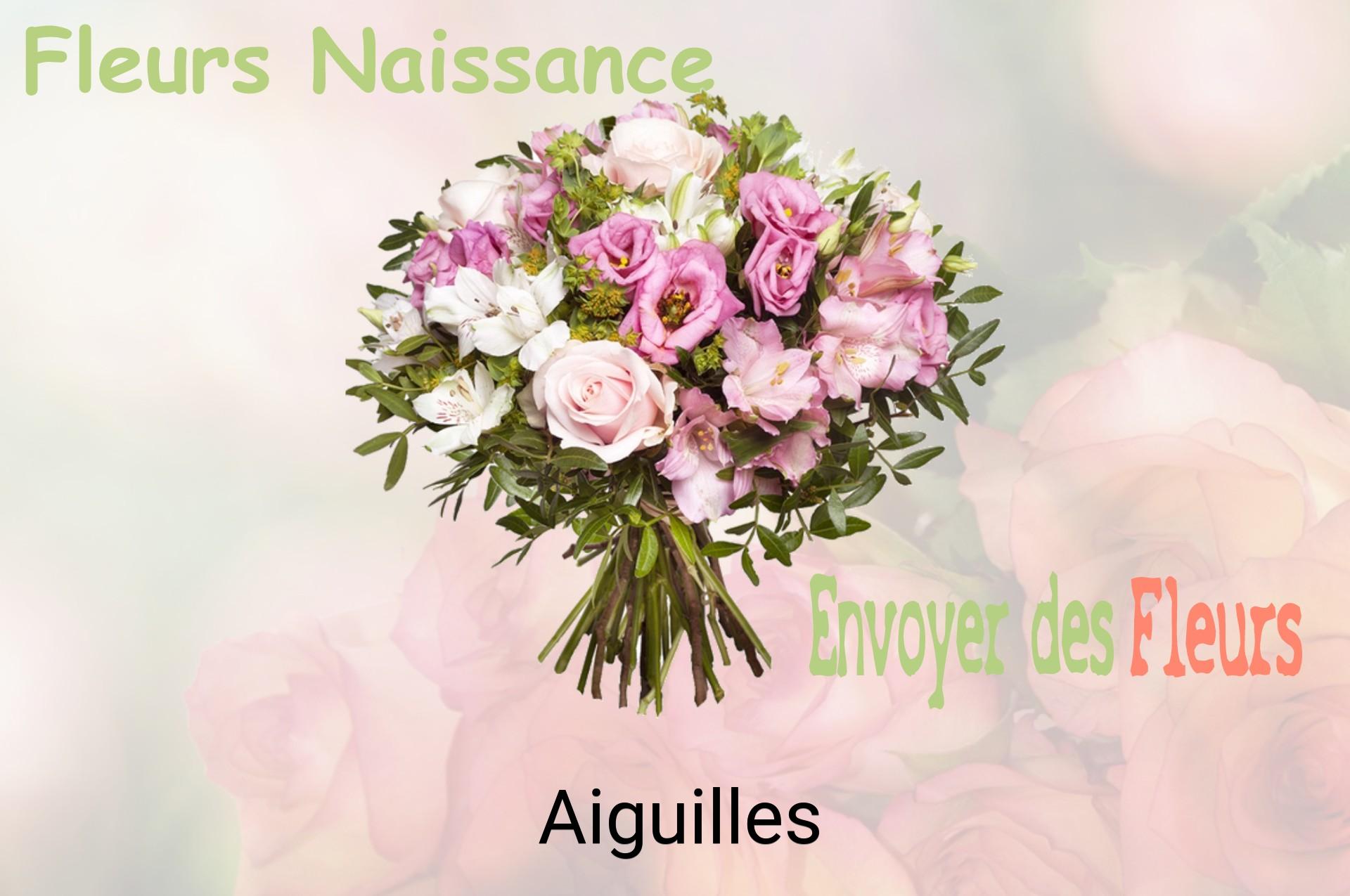 Bouquet de fleurs de naissance livré à Aiguilles
